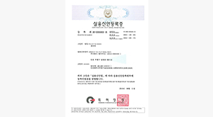 Acquired sanitary napkin utility model registration(No.0305833)